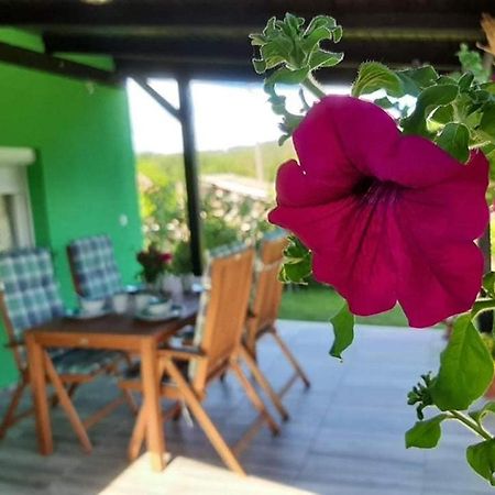 Ruralna Kuca Za Odmor Viktorija Villa Caglin Exterior photo