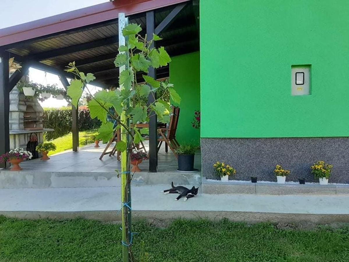 Ruralna Kuca Za Odmor Viktorija Villa Caglin Exterior photo