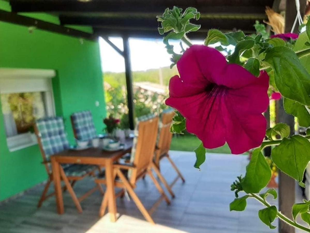 Ruralna Kuca Za Odmor Viktorija Villa Caglin Exterior photo