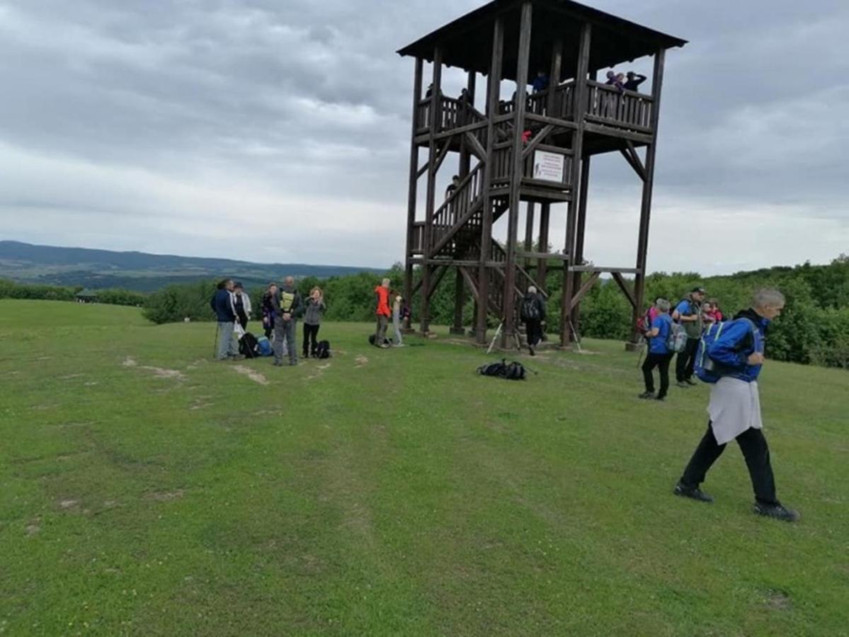Ruralna Kuca Za Odmor Viktorija Villa Caglin Exterior photo